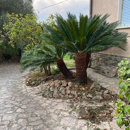 Ferienwohnung Il Giardino Delle Cycas Romito Magra Exterior foto