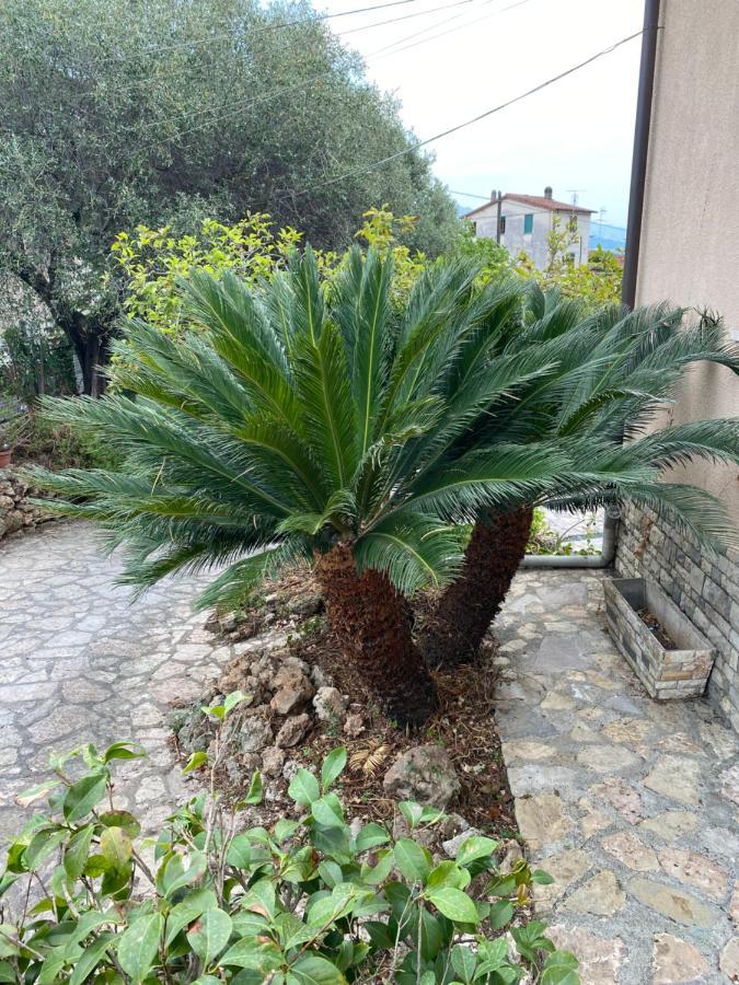 Ferienwohnung Il Giardino Delle Cycas Romito Magra Exterior foto